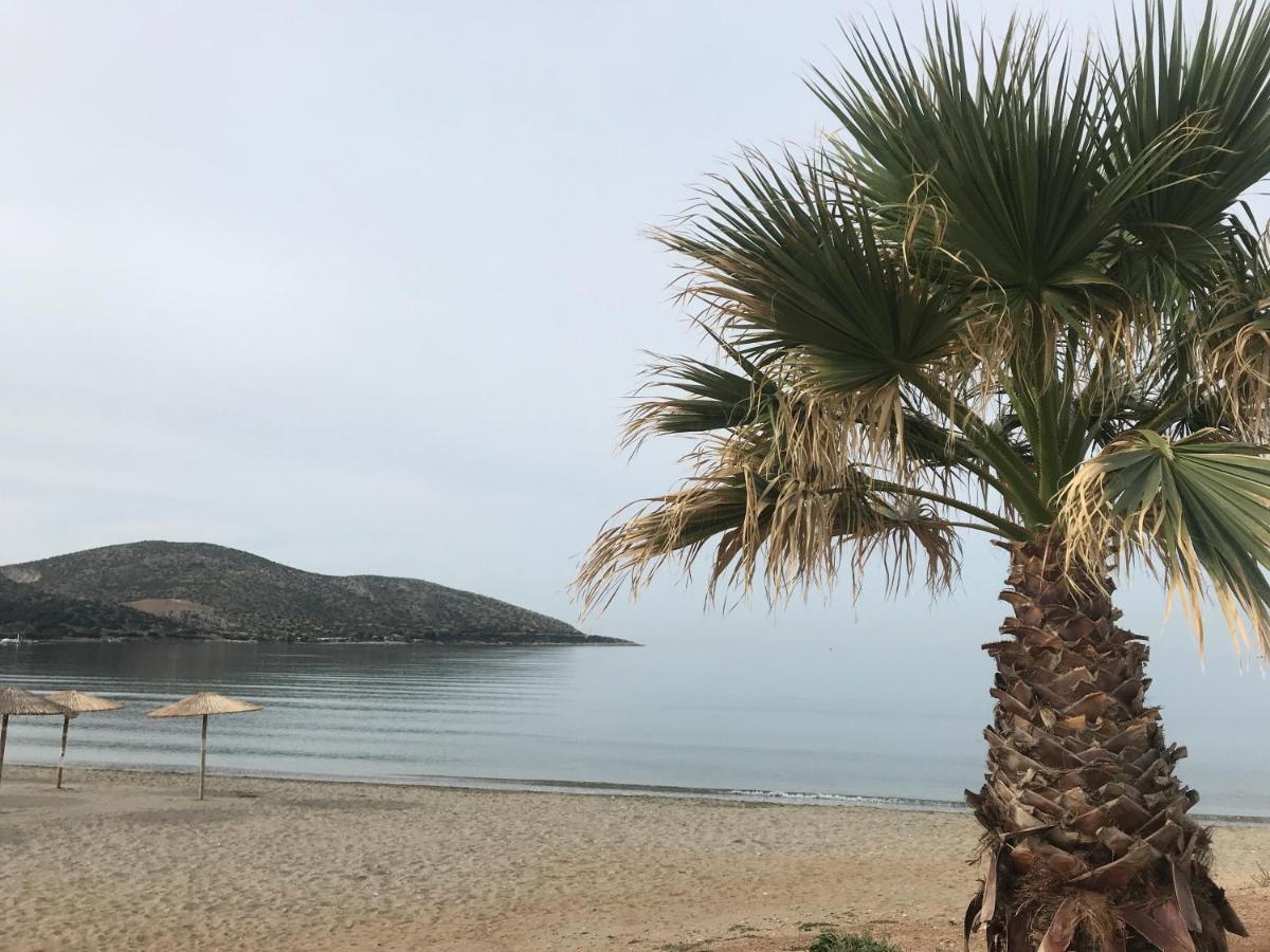 Cosy Studio 2 Minutes Walking From The Beach Anavyssos Exteriör bild